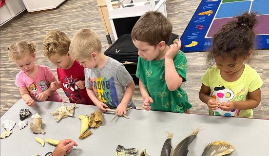 Young children standing in front of a table filled with shells for them to touch
