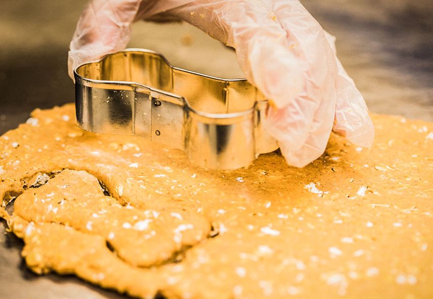 A gloved hand holds a bone shaped mould, pressing imprints into the dough.